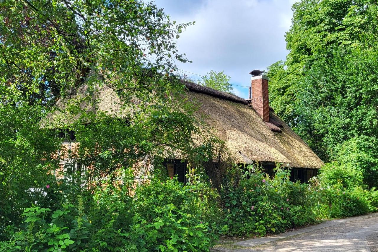 הוילה Fockbek Haus Swanhild מראה חיצוני תמונה